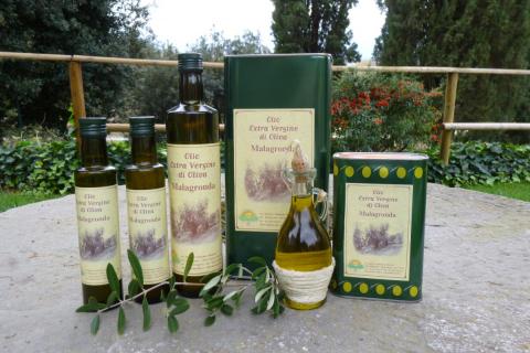 olijfolie malagronda umbrie