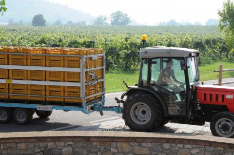 Wijndomein agriturismo noord Italië