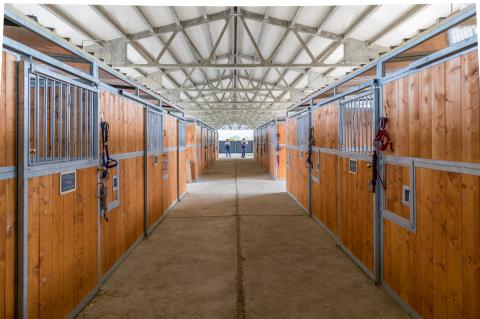 agriturismo met manege umbrie