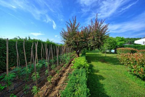 Kindvriendelijk vakantiehuis met prive zwembad