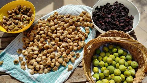 agriturismo olijfolie puglia