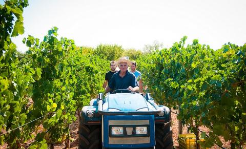 agriturismo castagno puglia