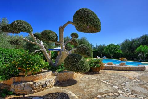 puglia vakantie zwembad