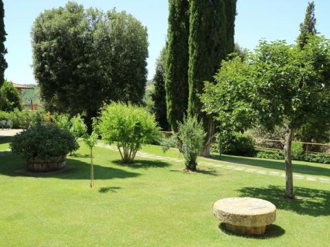 olijfolieproductie agriturismo lago trasimeno