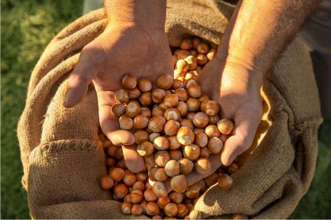 agriturismo piemonte