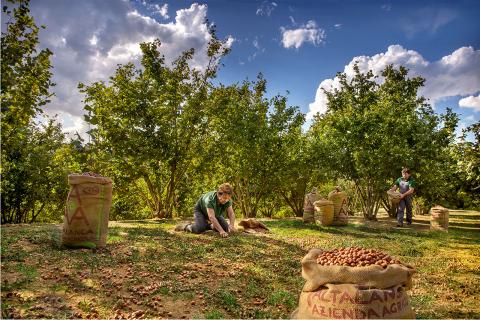agriturismo altalange piemonte