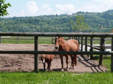 restaurant agriturismo appartement piemonte