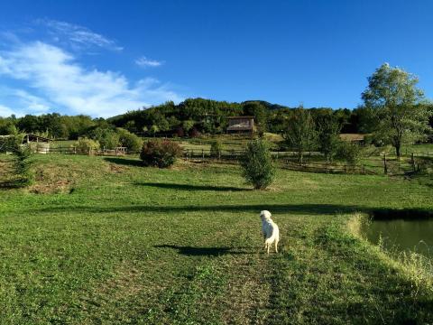 Villa Cenerara Emilia Romagna