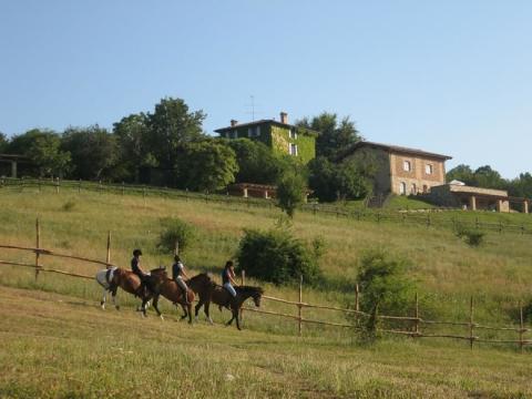 Vakantie Emilia Romagna paardrijden