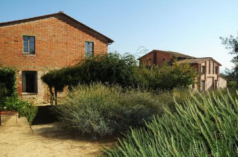 Agriturismo Castiglione del Lago met restaurant | Tritt-Italie.nl