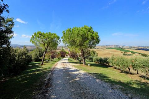 Vakantiehuis verwarmd zwembad le marche