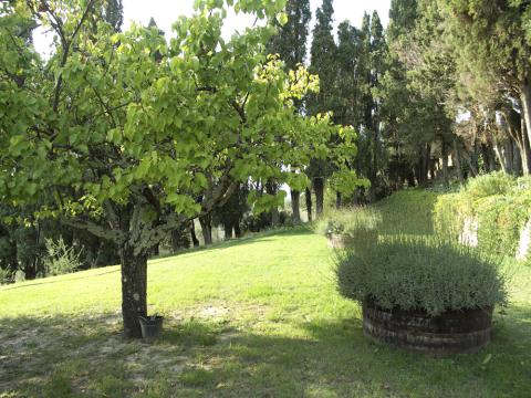 Luxe villa Volterra Toscane