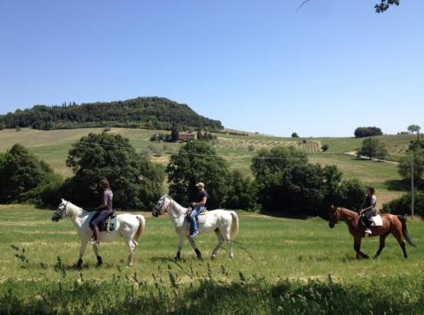 Agriturismo Pisa Toscane
