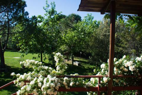 Vakantiehuisjes Toscane Pomarance