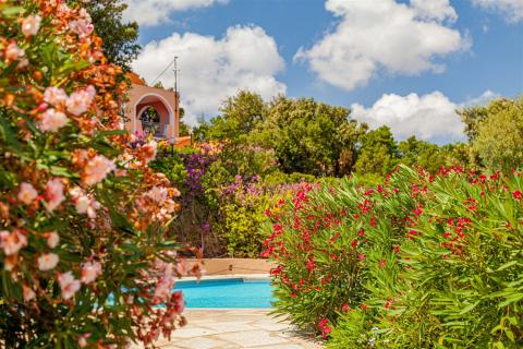 zwembad vakantiepark sardinie