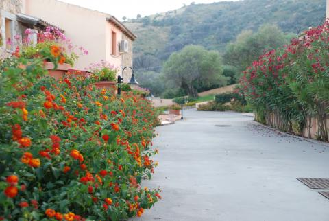Appartementen met zwembad Sardinië Budoni