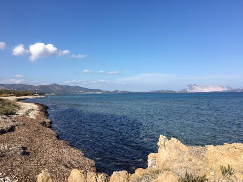 Spiaggia Cala D'Ambra