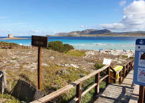 Asinara moderne appartementen bij het strand