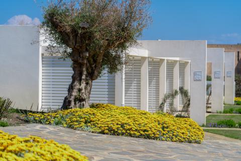 La Pelosa moderne appartementen bij het strand