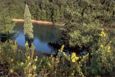 Appartementen Wijnboerderij Toscane