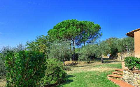Agriturismo Toscane Chianti
