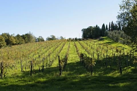 Agriturismo Chianti Toscane