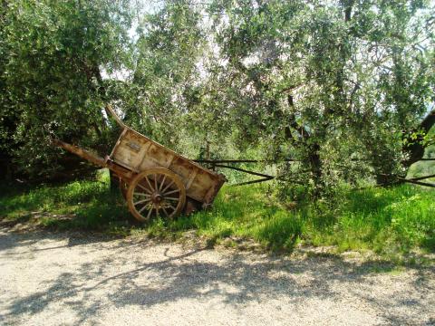 Agriturismo Toscane Florence