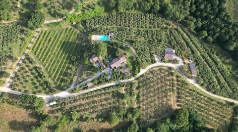 Umbrie - Slow Living bij Agriturismo Fontanaro | Tritt Vakantiehuizen
