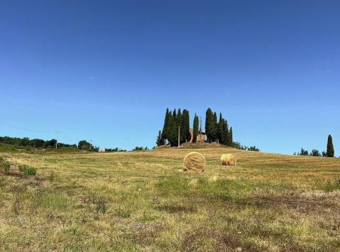 Vakantieboerderij Gambassi Terme