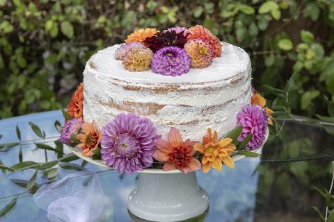 Villa voor groepen Toscane