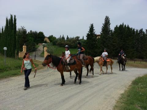 Villa met zwembad op Toscaans wijnlandgoed | Tritt.nl