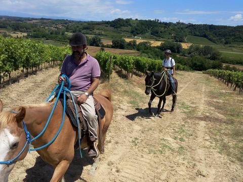 Vakantiehuis met zwembad Toscane