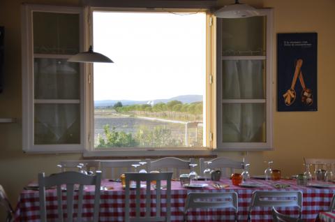 Agriturismo Toscane nabij Pisa