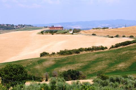 Uitzicht op graanvelden bij Volterra