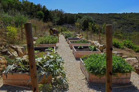 Vakantiehuis Elba Toscane