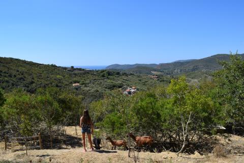 Vakantiehuis Elba Toscane
