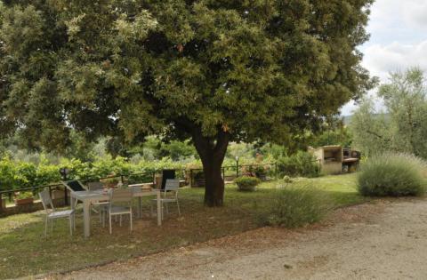 Charmante agriturismo; wellness, wijn en steden | Tritt.nl