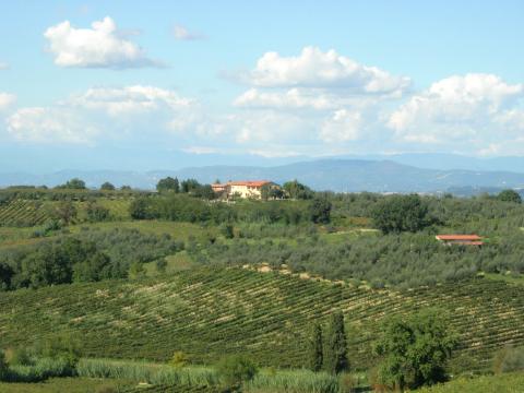 Charmante agriturismo; wellness, wijn en steden | Tritt.nl