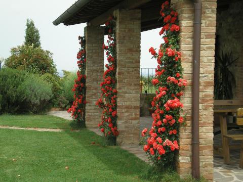 Vrijstaande villa voor 8 personen Toscane