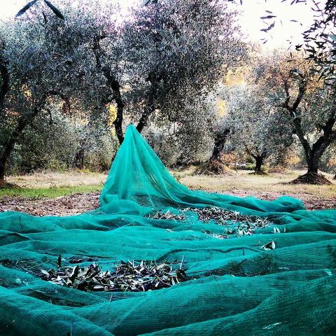 Agriturismo Pisa Toscane