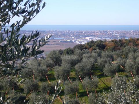 Vrijstaand vakantiehuis Toscane kust