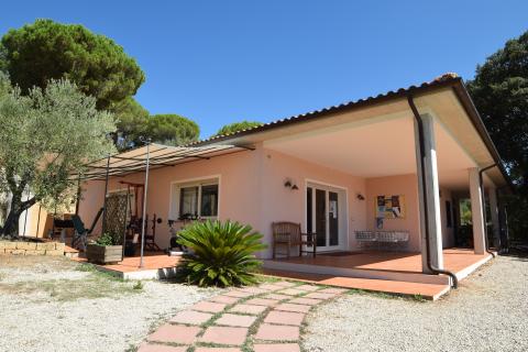 Receptie en openlucht gym