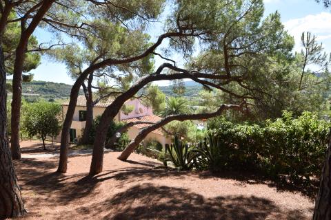 Familieparkje vakantie Elba in het pijnbomenbos |Tritt.nl