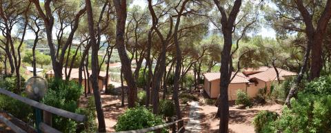 Leuke appartementen in pijnbomenbos