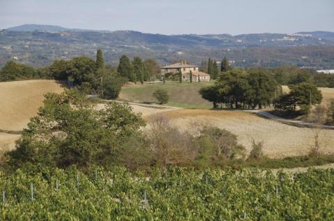 Panoramisch gelegen vakantiehuis