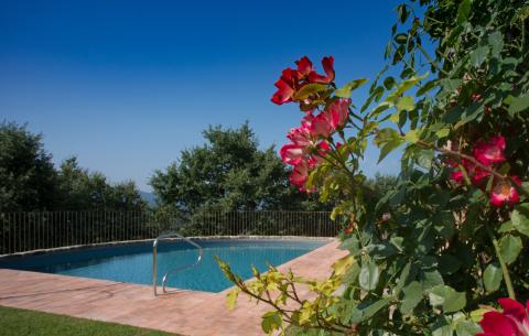 Luxe vakantiehuis Toscane wijngaard