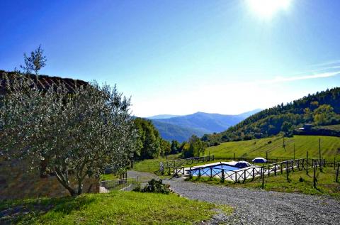 Vakantiehuis met zwembad Arezzo, Toscane