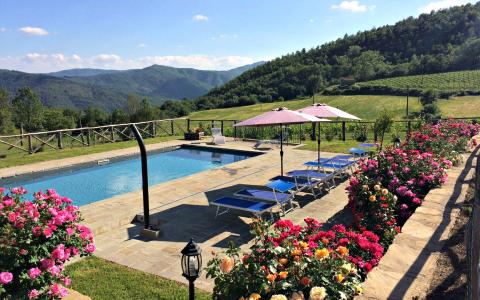 Vakantiehuis met zwembad Arezzo