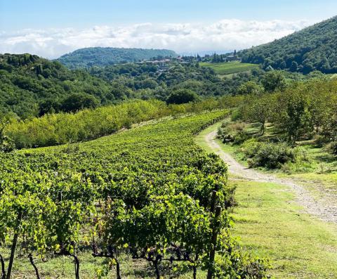 Agriturismo Montepulciano Toscane