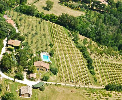 Agriturismo wijnlandgoed Montepulciano, Toscane | Tritt.nl